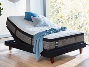 Adjustable Energise