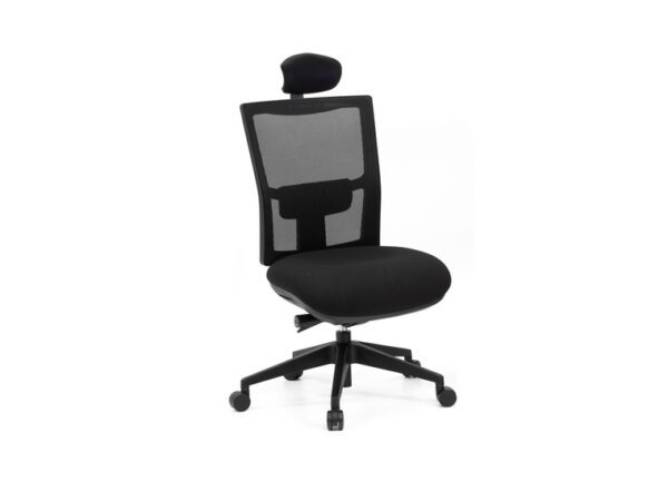 Anatome Air Heavy Duty