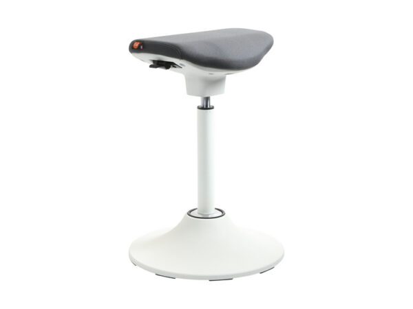 Acti-Perch - Image 2