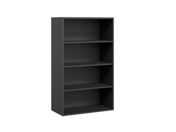 Anatome Bookcase - Image 2