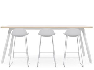 Anatome High Bench