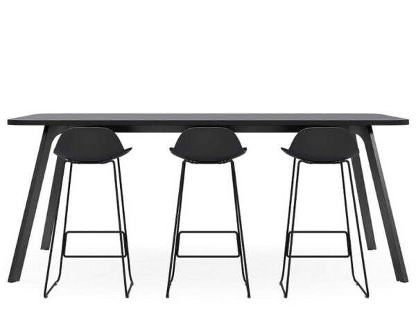 Anatome High Bench - Image 3