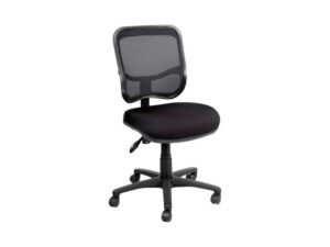 Anatome Mesh300