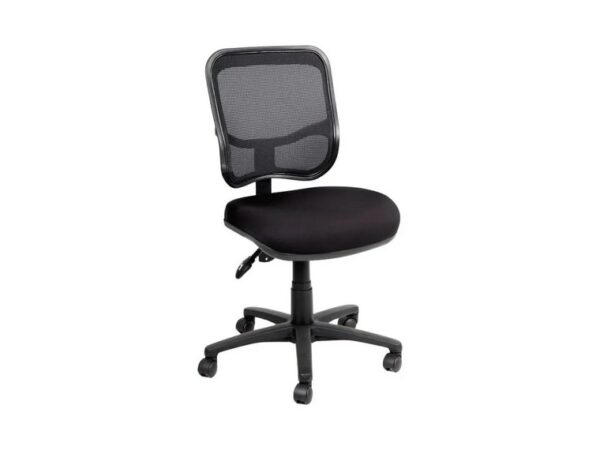 Anatome Mesh300