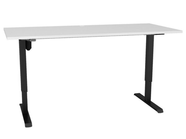 Anatome Sit Stand Compact - Image 2