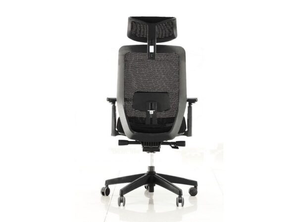 ErgoX 101 - Image 2