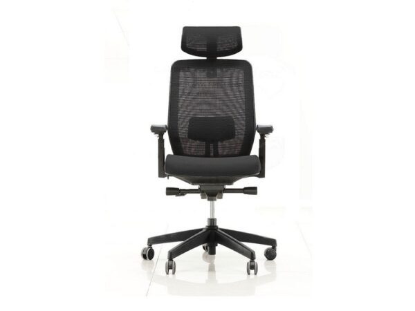 ErgoX 101 - Image 3