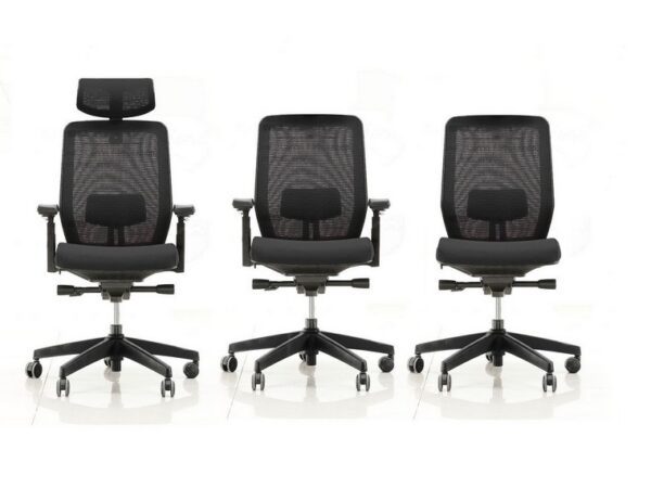 ErgoX 101 - Image 4