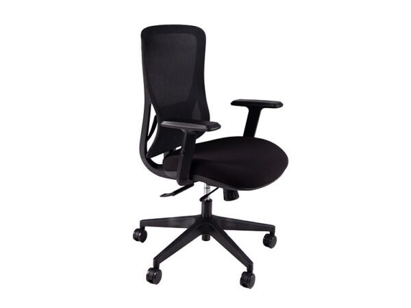 ErgoX 102 Ergonomic Office Chair