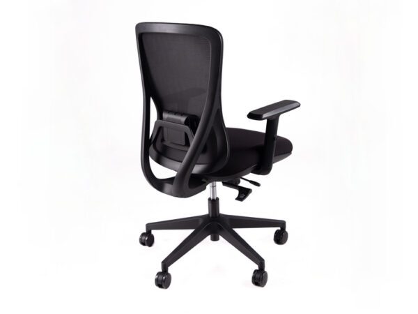ErgoX 102 Ergonomic Office Chair - Image 2