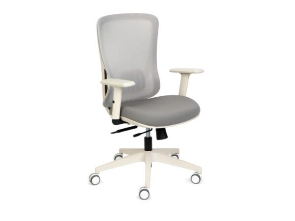 ErgoX 102 Ergonomic Office Chair - Image 7