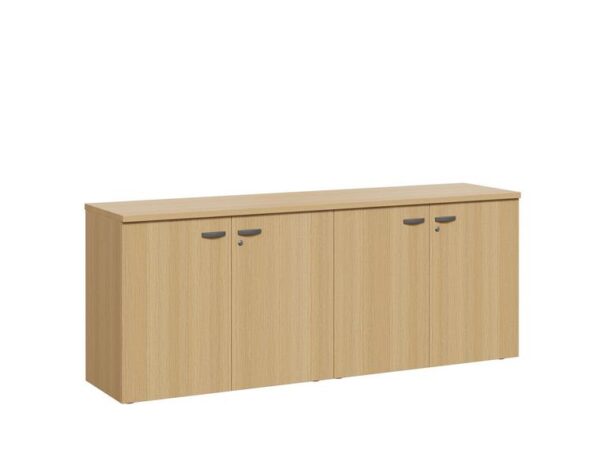 Hinged Door Cabinet
