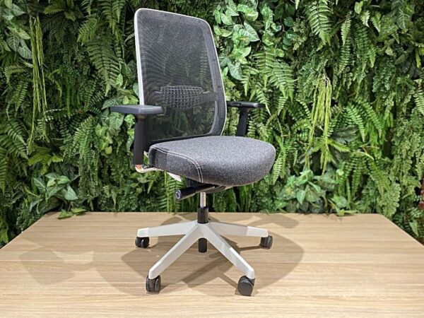 InMotion Model S - Image 3