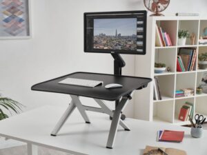 Monto Sit Stand