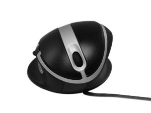 Oyster Mouse