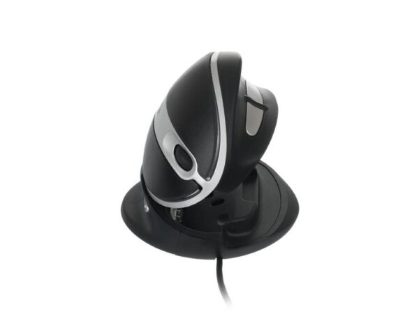 Oyster Mouse - Image 2