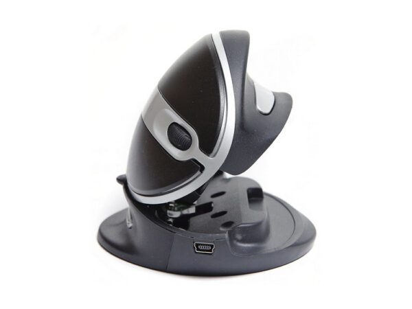 Oyster Mouse - Image 3