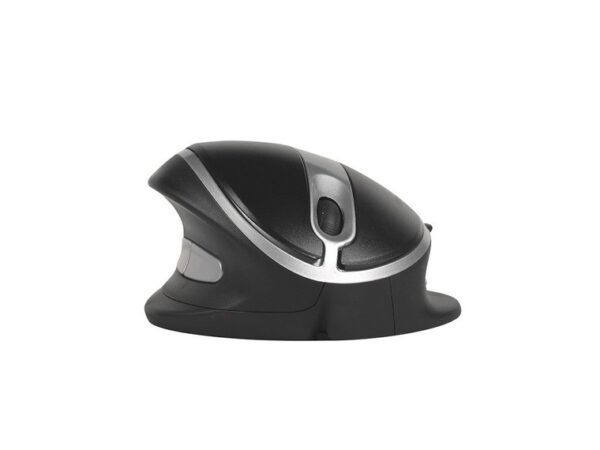 Oyster Mouse - Image 4