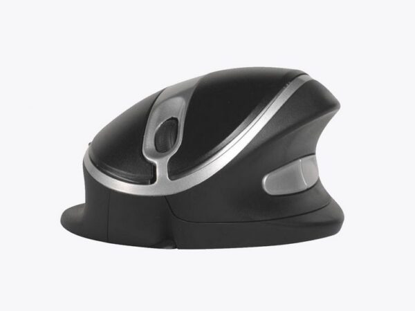 Oyster Mouse - Image 5
