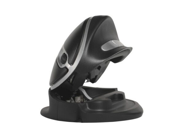 Oyster Mouse - Image 6
