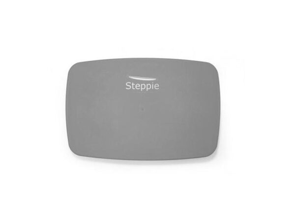 Steppie - Balance Board - Image 2