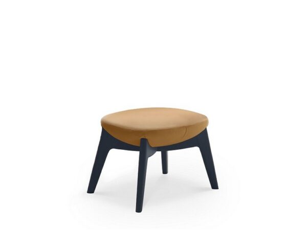 Tara Ottoman - Image 2