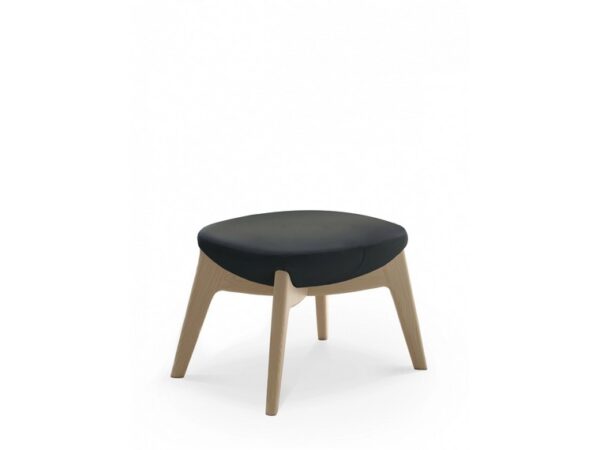Tara Ottoman - Image 4