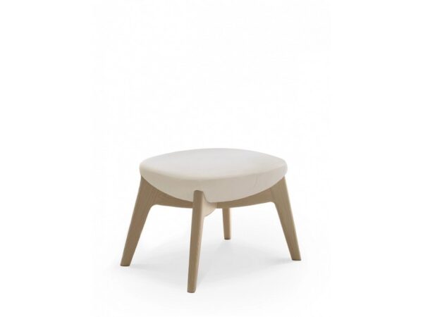 Tara Ottoman - Image 5