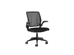 World Ergonomic Task Chair