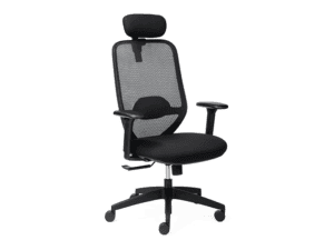 Ergo X Work