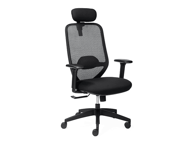 Ergo X Work