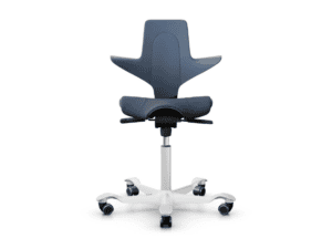 HÅG Capisco Puls with Seat Cushion